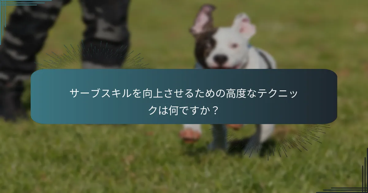 テニスのスコアリングシステムはどのように機能しますか？